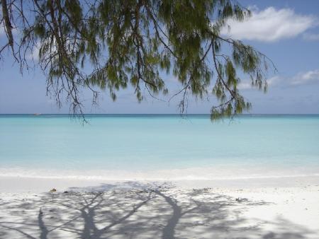 PLAGE DE ILE DE LA REUNION